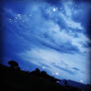 Meet your Posher, Layne